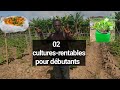 Voici 02 cultures facile et rentables pour 