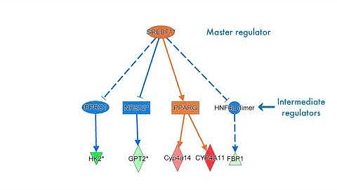 Examining Causal Network Analysis results in QIAGEN Ingenuity Pathway Analysis software tutorial