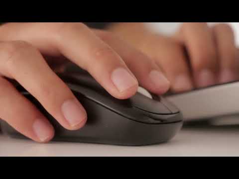 Using Personal Computer Laptop in Office