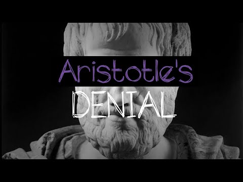 Aristotle's Denial (Joe Hawley Cover w/ New Lyrics)