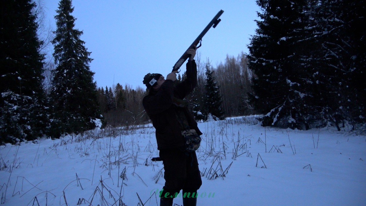 Охота на вальдшнепа в сумерках #14 | Первый выход сезона