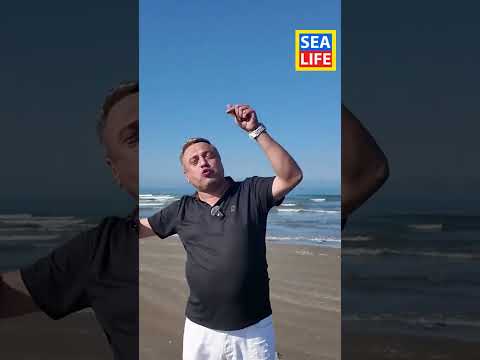 🏗️ Dream Liner в Sea Breeze — будущее строится здесь! 🌊