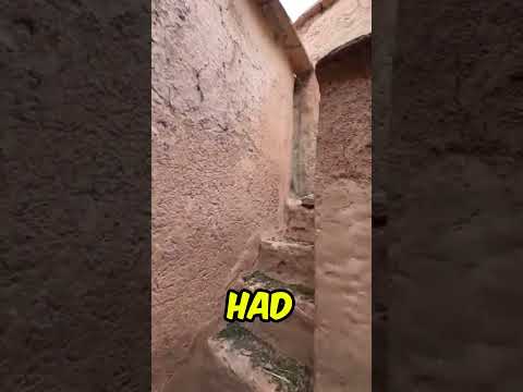 Dat kleine trucje op het einde 🥶🤫 (@vsyakoebivaet_)