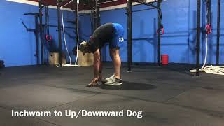 Inchworm to Up Downward Dog