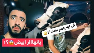 اخويا اتحول لعجل😱شوف حصل ايه فالآخر😂|عبدالرحمن الدسوقي