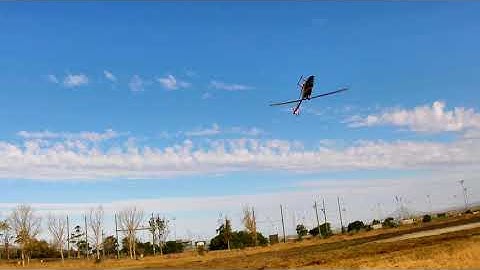 Trex 550E DFC 1950 rpm 3D 6min flight time