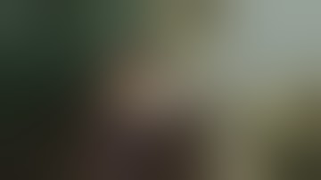 Predator - Get To The Chopper [HD]