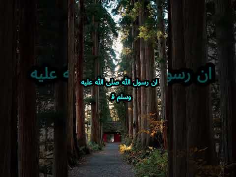 قال رسول الله صلى الله عليه وسلم كل المسلم على المسلم حرام دمه وماله وعرضه