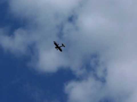 Sarah Goes Wingwalking