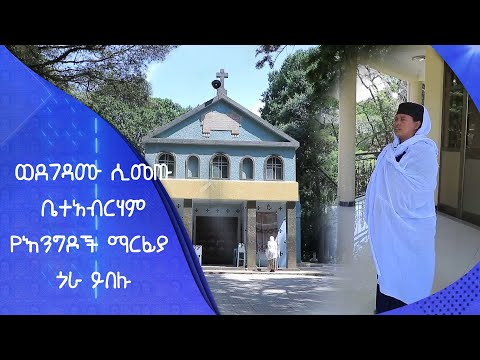 ቪዲዮ: የውሂብ ጎራ ምትኬ ምንድነው?