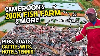 Inside Cameroon’s $1,000,000 Integrated Mega Farm! Trending
