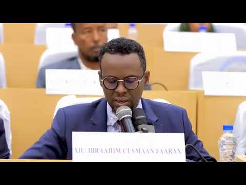 Madexweynekuxigeenka Aya Sheegay In Goobaha La Ildufay Dib Lo Eegi Dono Hadey Degmo Uqalman