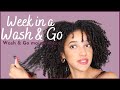 MAINTAIN YOUR WASH & GO FOR A WEEK! | Day by day explanation | AbbieCurls | Natural Hair