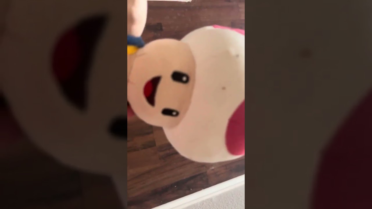 SLC Movie: Toads J*b Application 