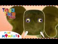 The Story of Elephant&#39;s Trunk 🐘 | Tinga Tinga Tales | Full Episode | Mini Moments