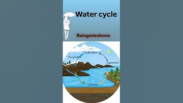 💧 Water Cycle Model | Easy School Project for Students #viralvideo #viral #youtubeshorts