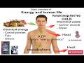 How food is converted into energy in human body Part Two by Dr Rachana Jain 13.03.2026