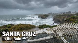 Walking Santa Cruz in the Rain — Coastal Trails, Blue Whale Skeleton & Stormy Ocean | 4K No Talking