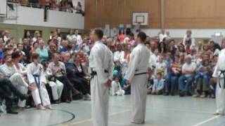Taekwon-Do Michael Fehrer 8.Hyong