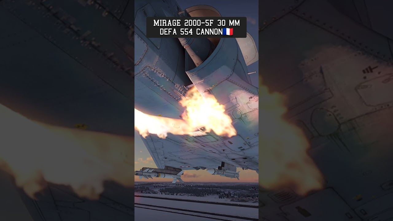 Day 55. 23 mm type 23-3 cannon or 30 mm defa 554 cannon? 