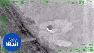 Dramatic moment Florida police rescue man from sunken van