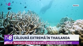 Căldură extremă în Thailanda. Apa mării a ajuns la 33 de grade și amenință recifele de corali