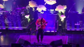 Yellow Roses by Highly Suspect