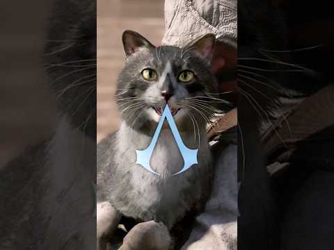 أسرار لعبة أساسن كريد ميراج   