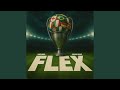 FLEX mp3