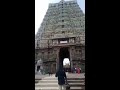 Arulmigu thiru kasi vishwanathar temple tenkasi