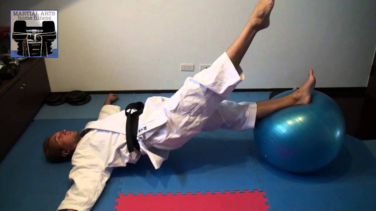 Martial Arts Swiss (Exercise) Ball Exercises 01 YouTube