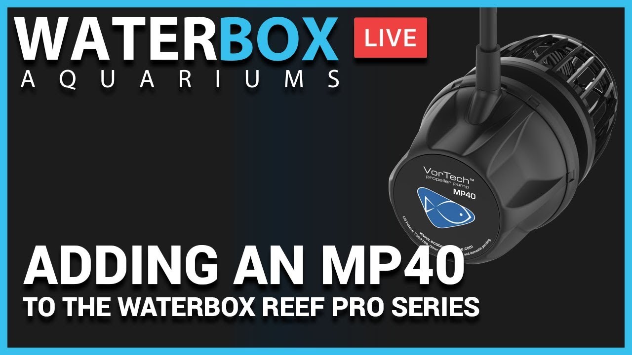 aquarium setup for cichlids Adding a Vortech MP40 to our Dream Build Waterbox Reef Pro 230.6