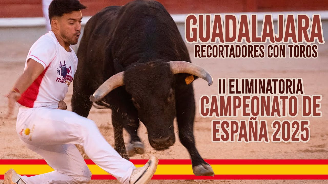 4K · GUADALAJARA 2025 · 🇪🇸 CAMPEONATO DE ESPAÑA DE RECORTES CON TOROS BRAVOS ·🏅 2ª ELIMINATORIA