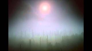 The Woodlands - Long Lost Century