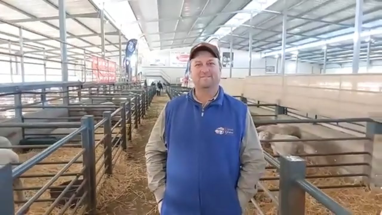 Henning, die dag voor die Vrystaat genetiese IDF Groep se 4de Ile de France veiling
