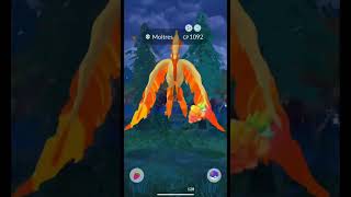 SHINY GALARIAN MOLTRES CATCH!  #pokemongo #pokemon #shinypokemon #shiny