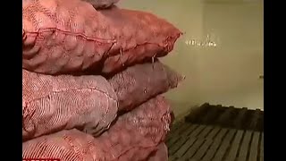 La crisis de reconocida empresa de papas fritas en paquete por cuenta de bloqueo en la Panamericana screenshot 1