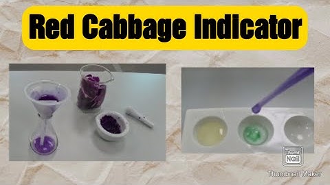 Making and Using Red Cabbage Indicator 4K