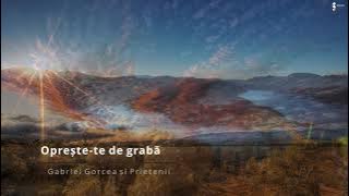 Gabriel Gorcea si Prietenii - Selectii