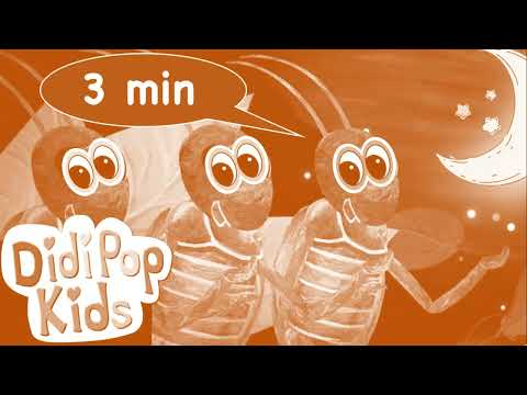 Vrg RTS DidiPop