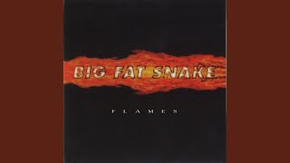 Video thumbnail of "Big Fat Snake - Bonsoir Madame"