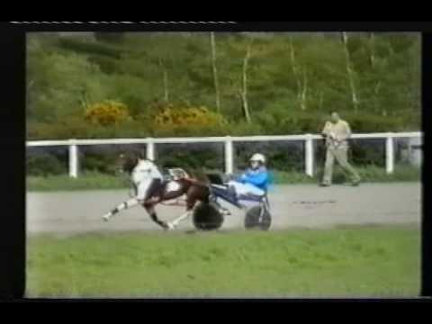 Who Gives a Toss vs 5 Bay Horses
