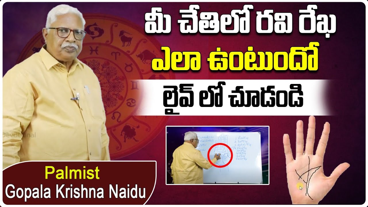 Ravi Rekha Importance in Telugu | Palm Lines Reading | Palmist Gopala Krishna Naidu | SocialPost