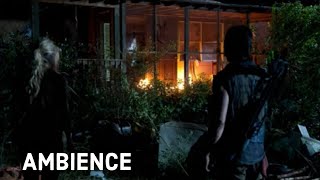 Daryl and Beth 4x12 Ambience | The Walking Dead Inspired