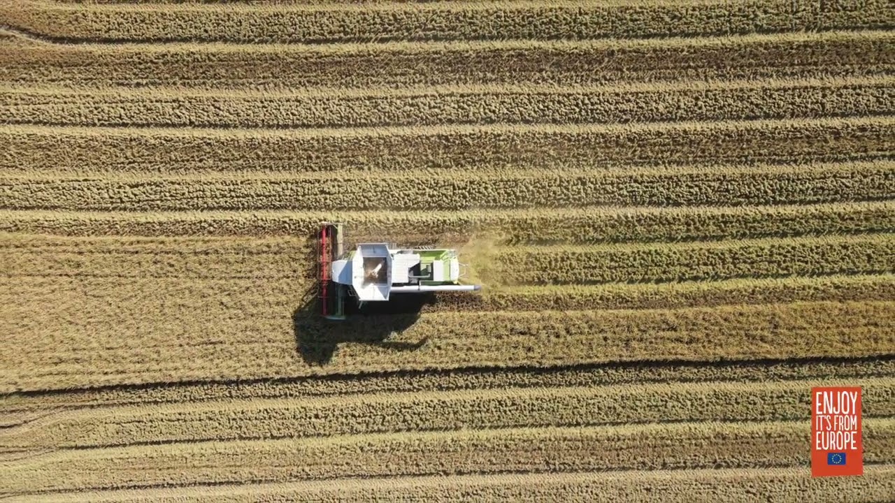 Rice Ecosystem new techonologies (english)