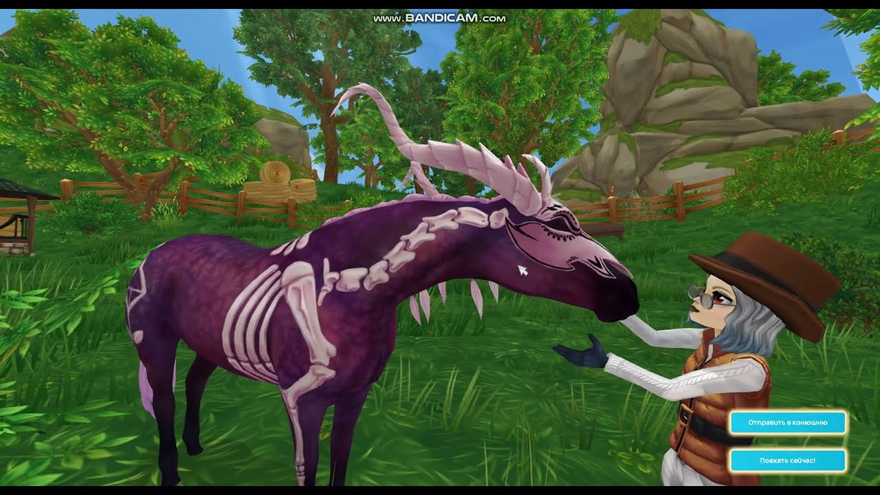 покупка ЛАВЕРНЫ!! ССО/СТАР СТЕЙБЛ/