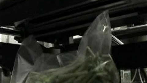 Matrix Pro Series Vertical Form Fill Seal System UsingGreen Beans Cleft Bag - Matrix