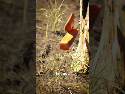 When Strength Turns Into Tragedy 😨