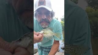 Ridley Park lake spot 1