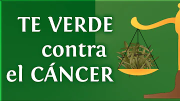 ¿Qué tipos de cáncer puede prevenir el té verde?